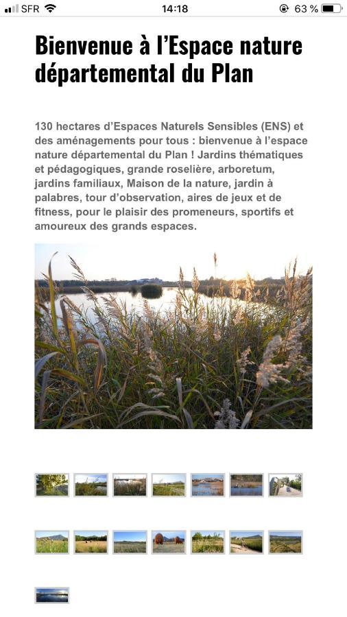 Maison "Les Vignes" Le Pradet Exterior photo